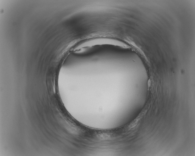 X0000078260062200611251339