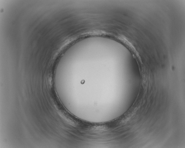 X0000078260063200611251339