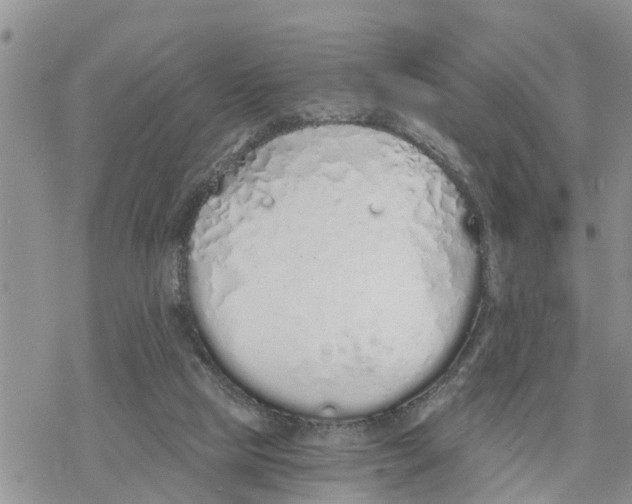 X0000078260065200611251339