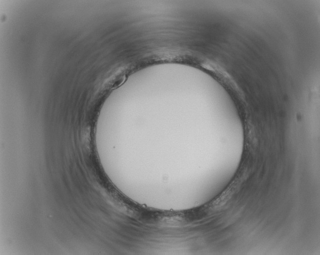 X0000078260066200611251339