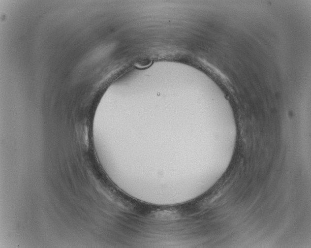 X0000078260067200611251339