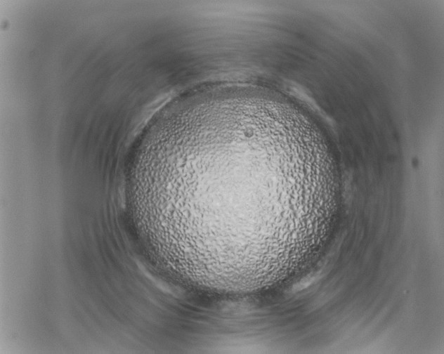 X0000078260068200611251339