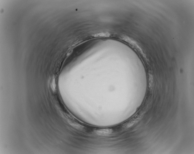 X0000078260069200611251339