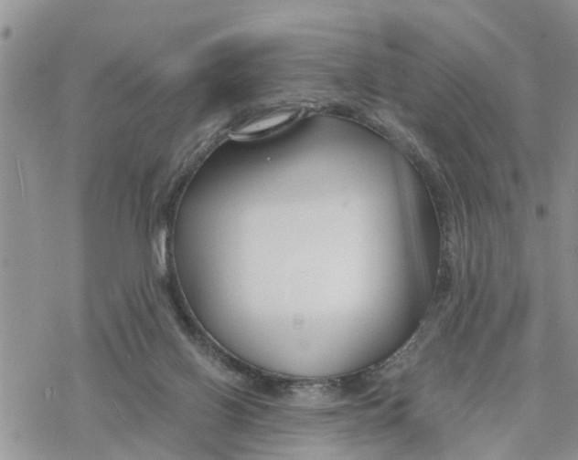 X0000078260070200611251339