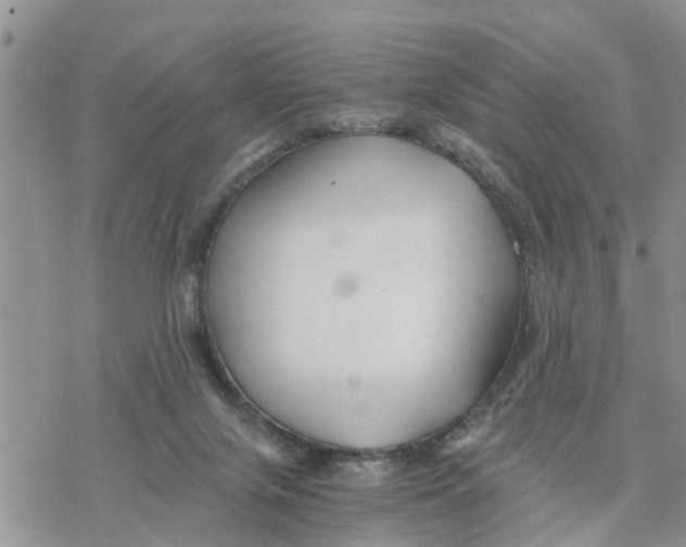 X0000078260071200611251339