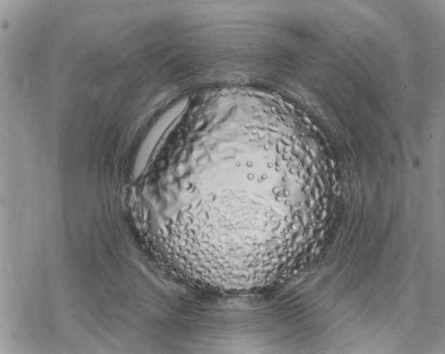 X0000078260072200611251339