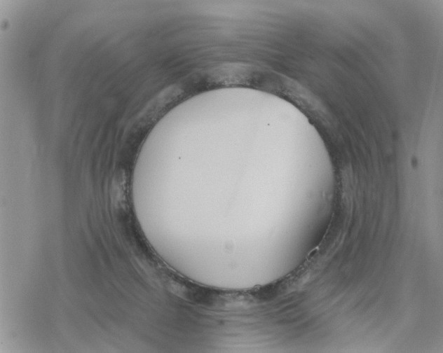 X0000078260073200611251339