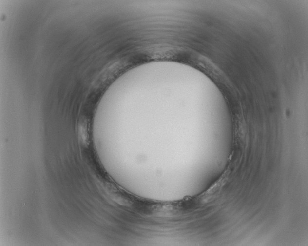 X0000078260074200611251339