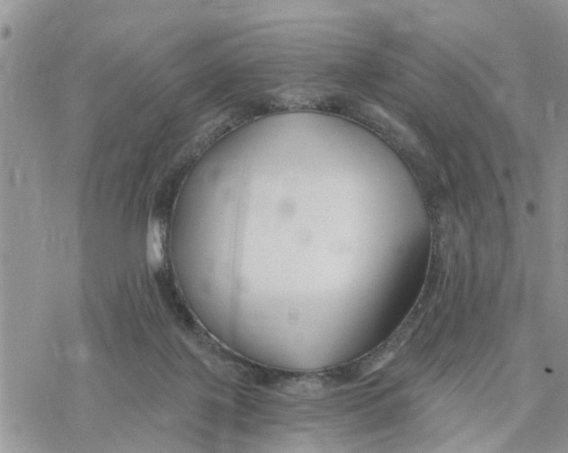 X0000078260075200611251339