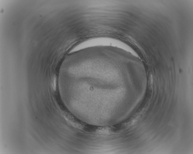 X0000078260076200611251339