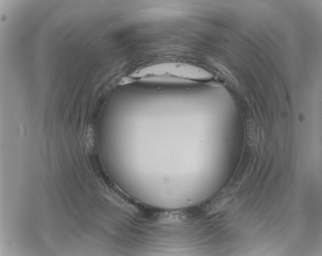 X0000078260077200611251339