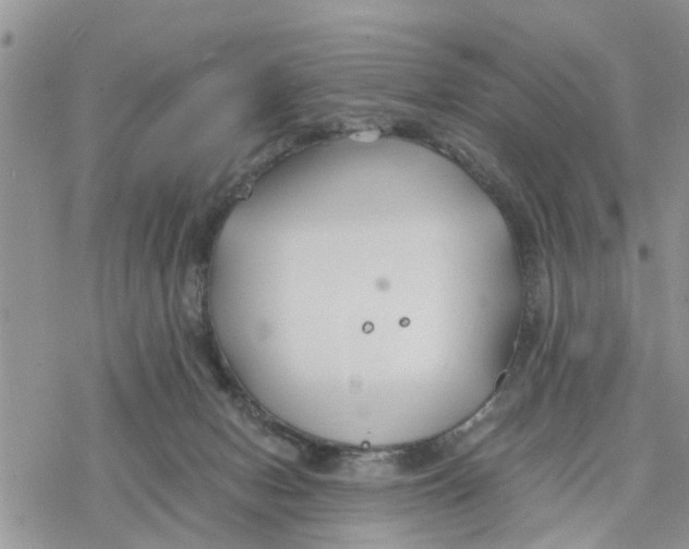 X0000078260078200611251339