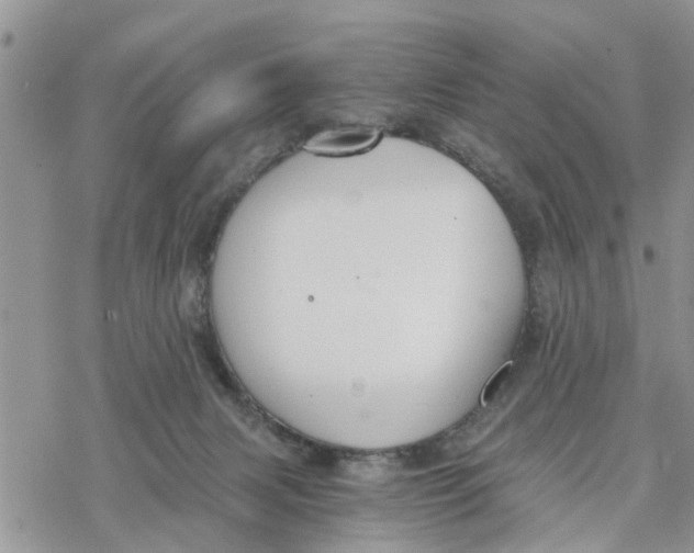 X0000078260079200611251339