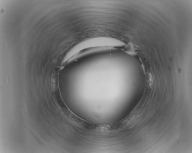 X0000078260080200611251339