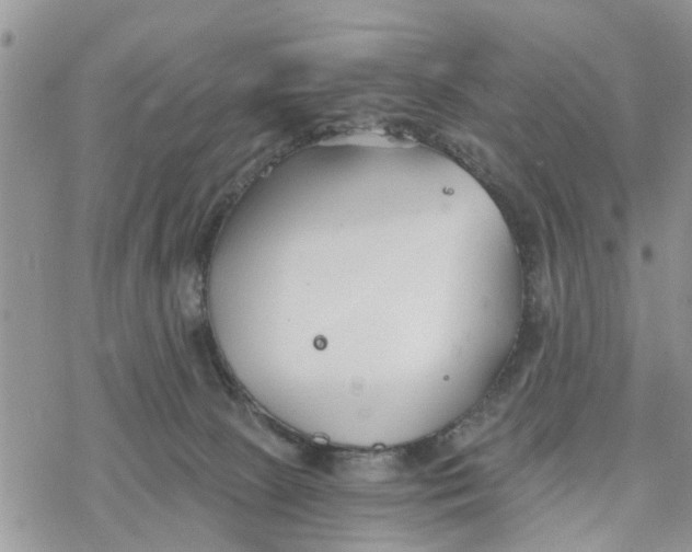 X0000078260081200611251339