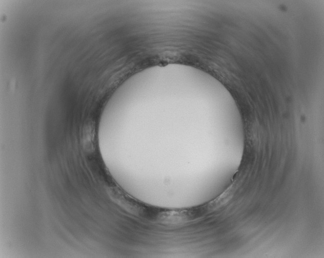 X0000078260082200611251339