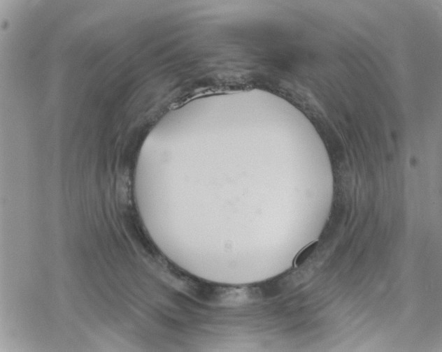 X0000078260083200611251339