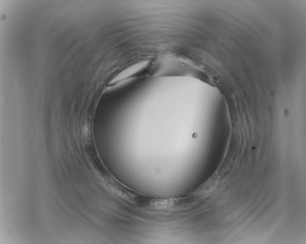 X0000078260084200611251339