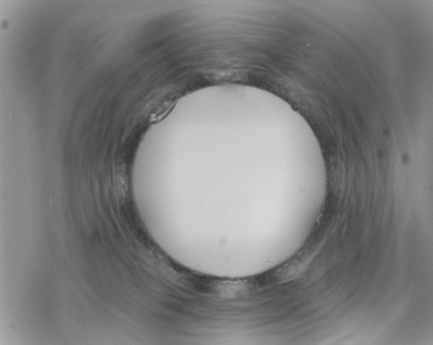 X0000078260085200611251339