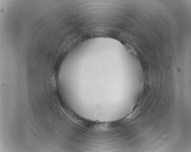 X0000078260086200611251339