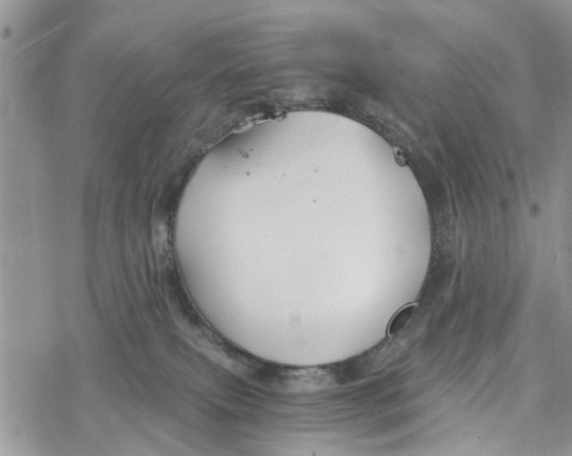 X0000078260087200611251339