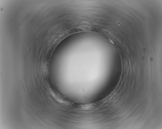 X0000078260088200611251339