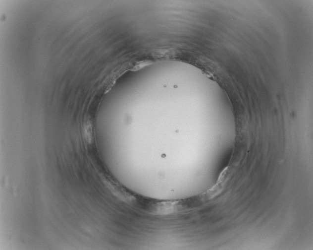 X0000078260090200611251339