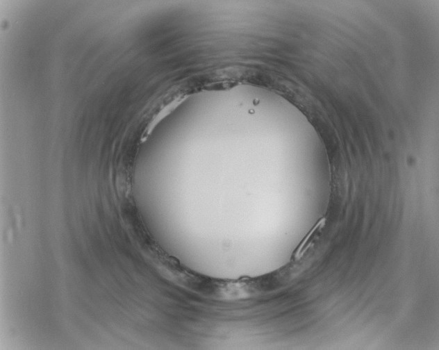 X0000078260091200611251339