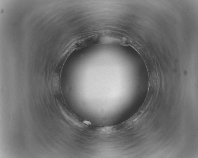 X0000078260092200611251339