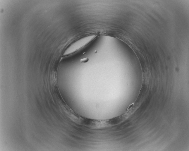 X0000078260093200611251339