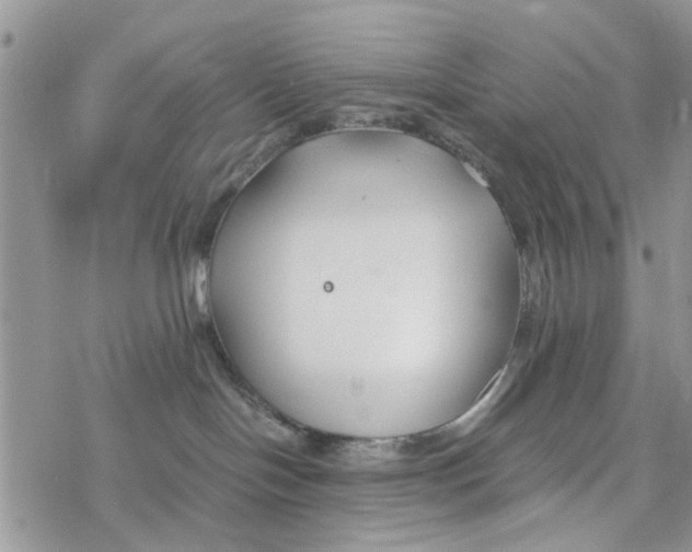 X0000078260094200611251339