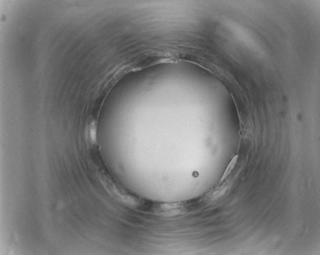 X0000078260095200611251339