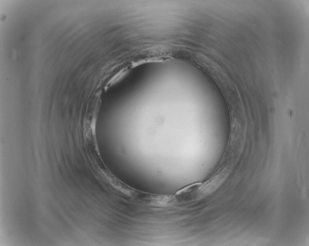 X0000078260096200611251339