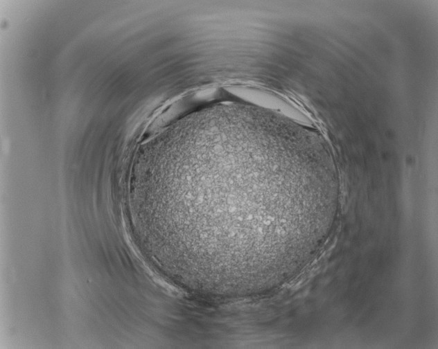 X0000078260097200611251338