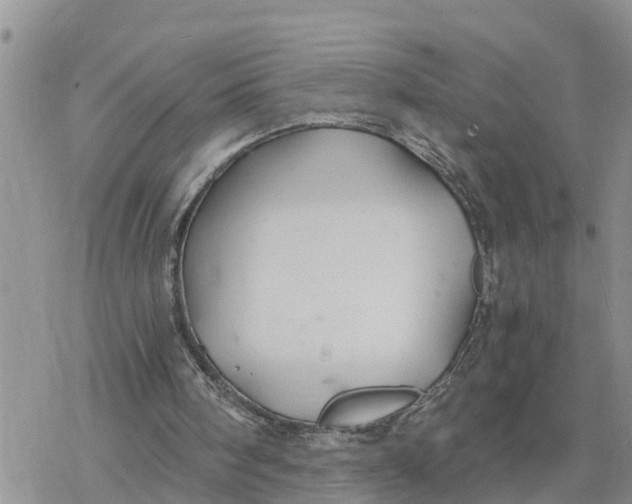 X0000078260098200611251338