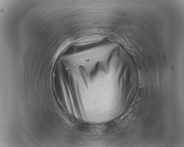 X0000078260099200611251338