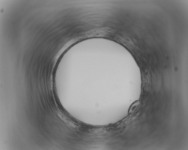 X0000078260100200611251338