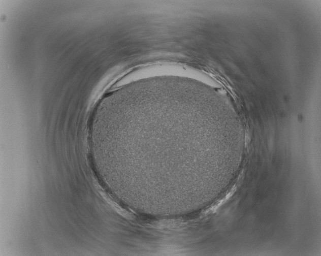 X0000078260101200611251338