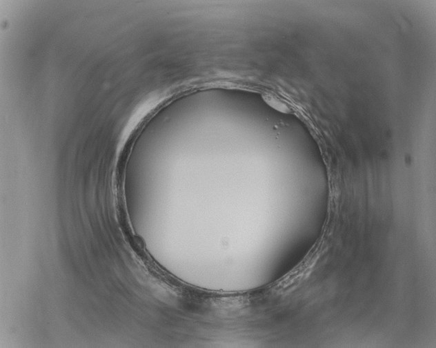 X0000078260102200611251338