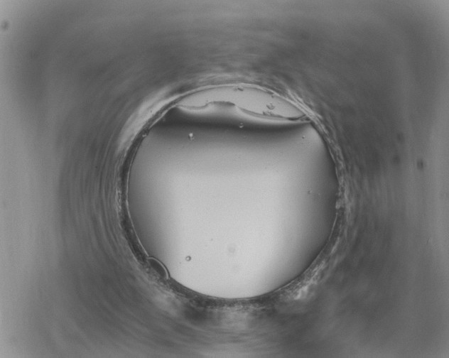 X0000078260103200611251338