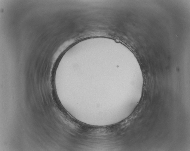 X0000078260104200611251338