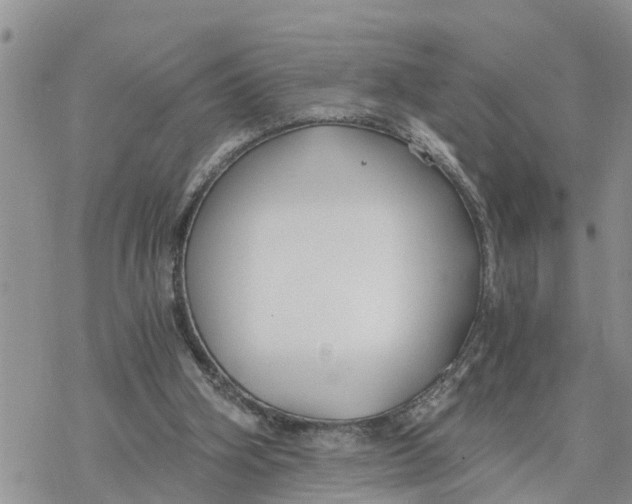 X0000078260106200611251338