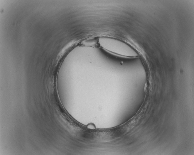 X0000078260107200611251338