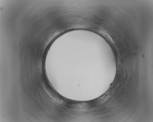 X0000078260108200611251338