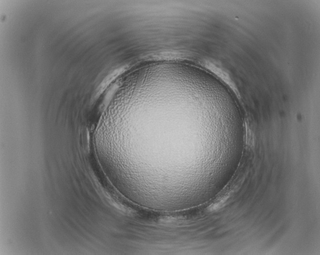 X0000078260109200611251338