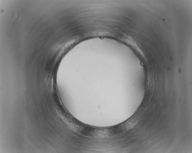 X0000078260110200611251338