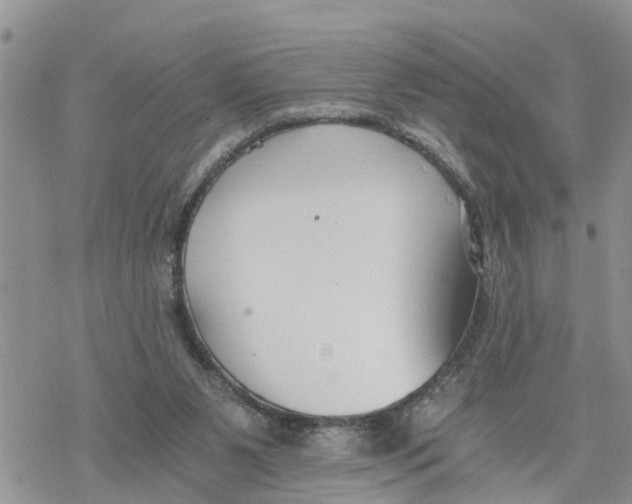 X0000078260111200611251338