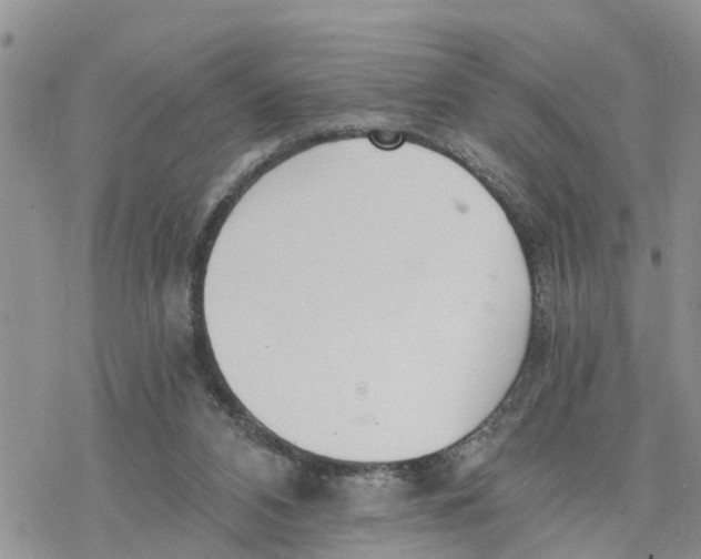 X0000078260112200611251338