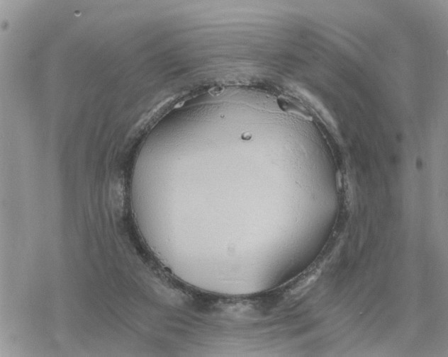 X0000078260113200611251338