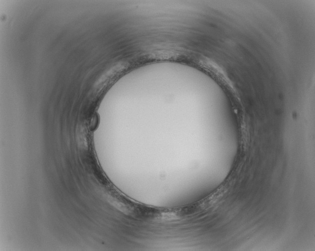 X0000078260114200611251338